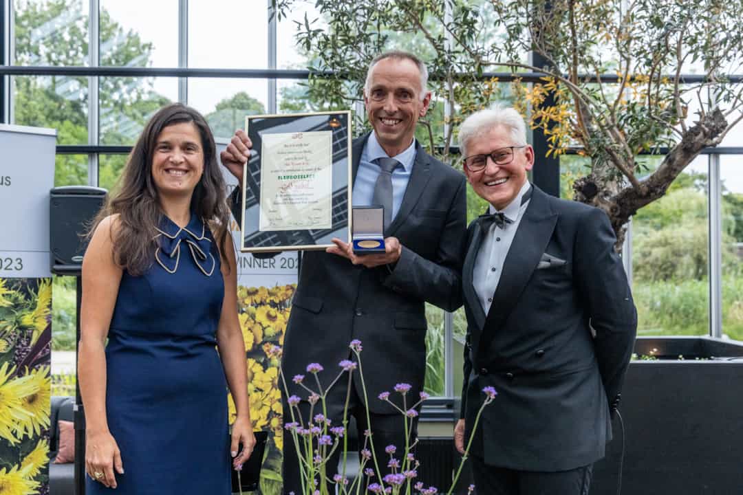 Fleuroselect Gold Medal for our Verbena 'Vanity'!
